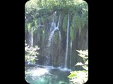 DSCF6439