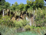 DSCF6442