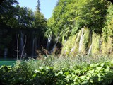 DSCF6447