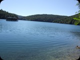 DSCF6460