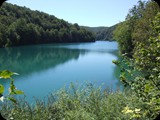 DSCF6471