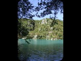 DSCF6473