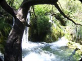 DSCF6474