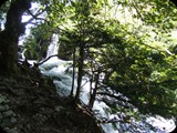 DSCF6475