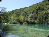 DSCF6477