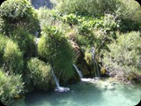 DSCF6480