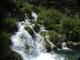 DSCF6481
