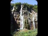 DSCF6491