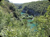 DSCF6524