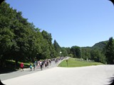 DSCF6529