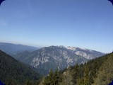 DSCF5794