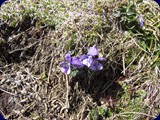 DSCF5809