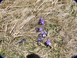 DSCF5841
