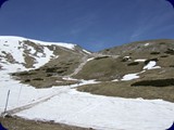 DSCF5882