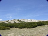 DSCF5886