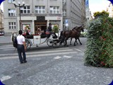 PRAGA029