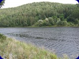 SOLENICE0002