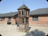 DSCF4953