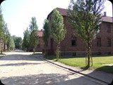 DSCF4964