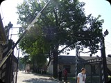 DSCF5002