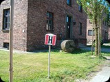 HPIM3593