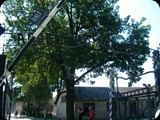 HPIM3603