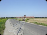 DSCF5003