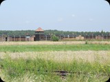 DSCF5006