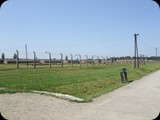 DSCF5010