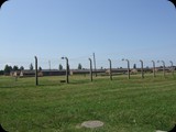 DSCF5011