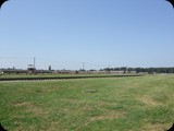 DSCF5014
