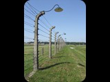 DSCF5015