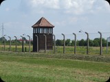 DSCF5016