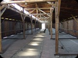 DSCF5019