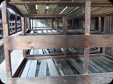 DSCF5026