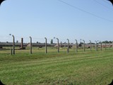 DSCF5031