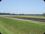 DSCF5032