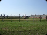 DSCF5037