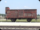 DSCF5040