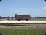 DSCF5041