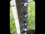 DSCF5046