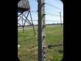 DSCF5048