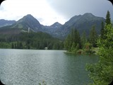 DSCF4391