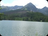 DSCF4392