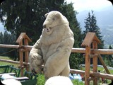 DSCF4440
