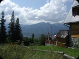 DSCF4446