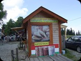 DSCF4454