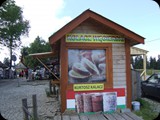 DSCF4455