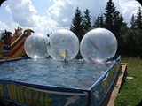 DSCF4458