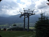 DSCF4465